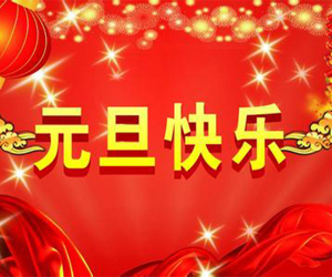 祥龙贺瑞，新程启元——元旦共欢，同赴新篇！