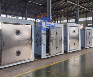 石斛低温脉冲真空干燥机