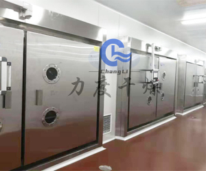 石斛低温脉冲真空干燥机