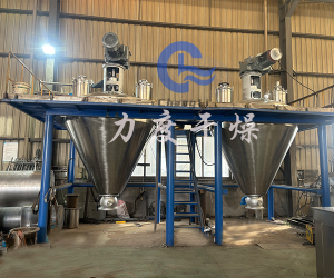 聚砜螺带真空干燥机