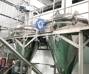 有机颜料单锥螺带真空干燥机