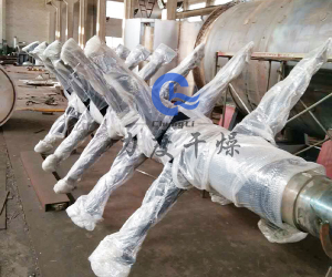 食品添加剂真空耙式干燥机