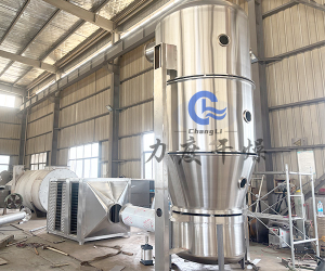 甜味香精沸腾制粒机
